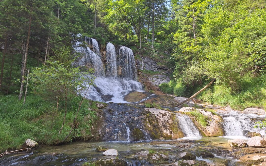 Die 5 schönsten Wanderungen rund um Inzell im Chiemgau